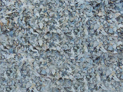 Bocce Court Oyster Shell